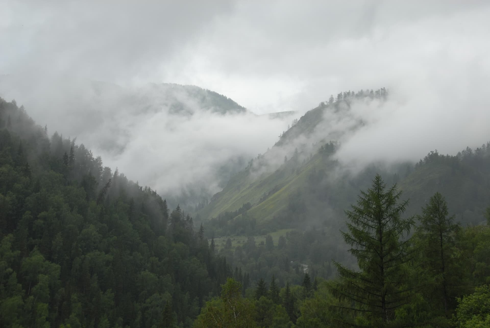 Филаретова гора - фото 1