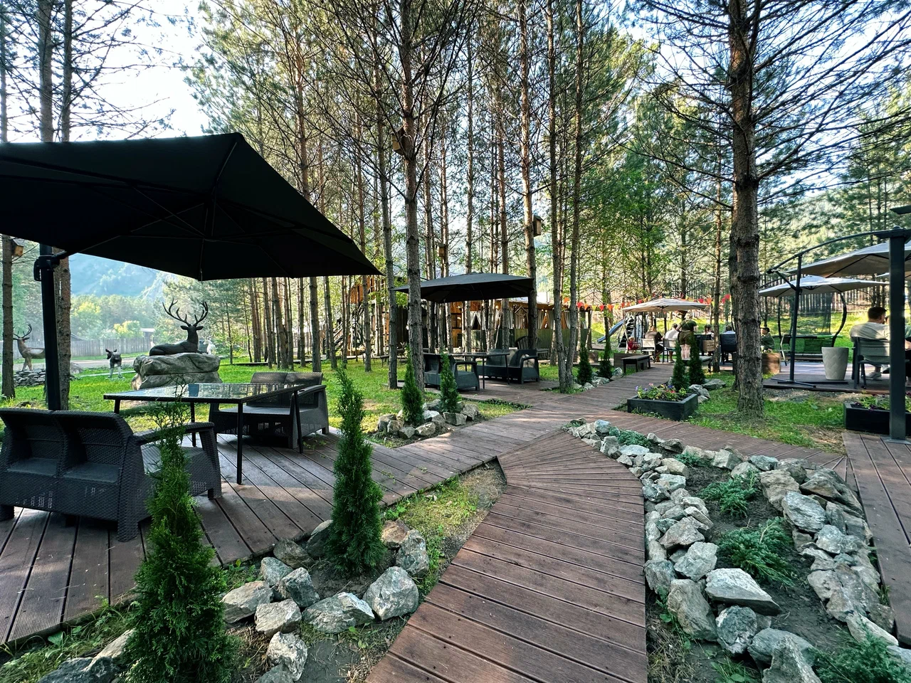 Kraft-кафе Сила Алтая - фото 1